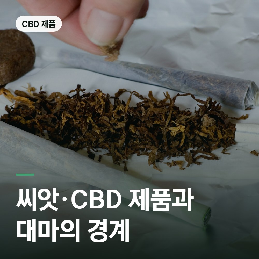 씨앗·CBD 제품과 대마의 경계 - 대마 변호사 안내